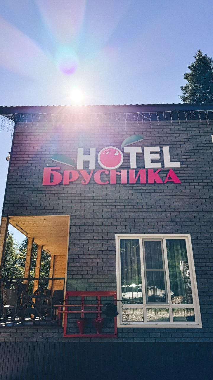 Фото Брусника