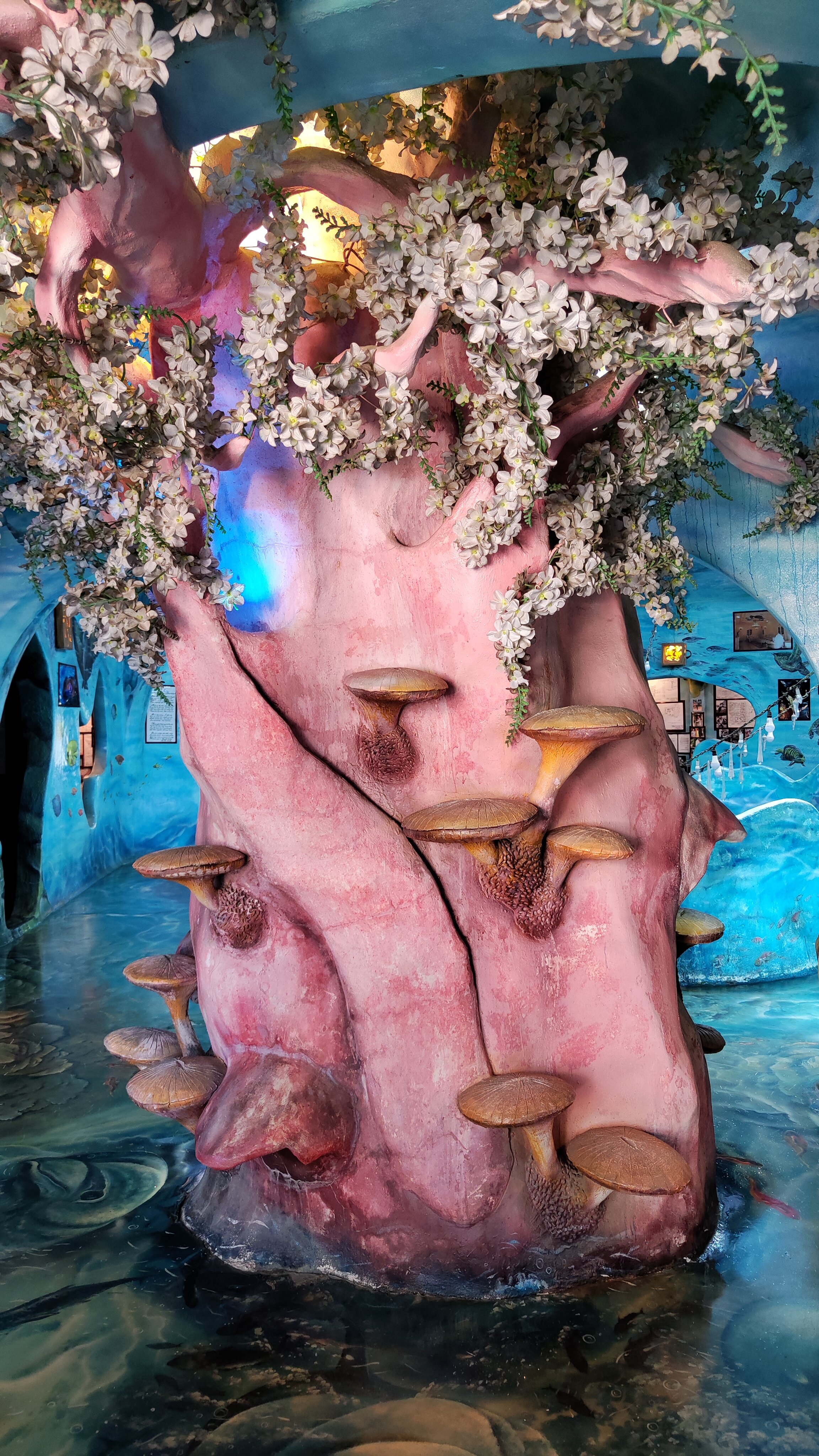 Фото Crazy House