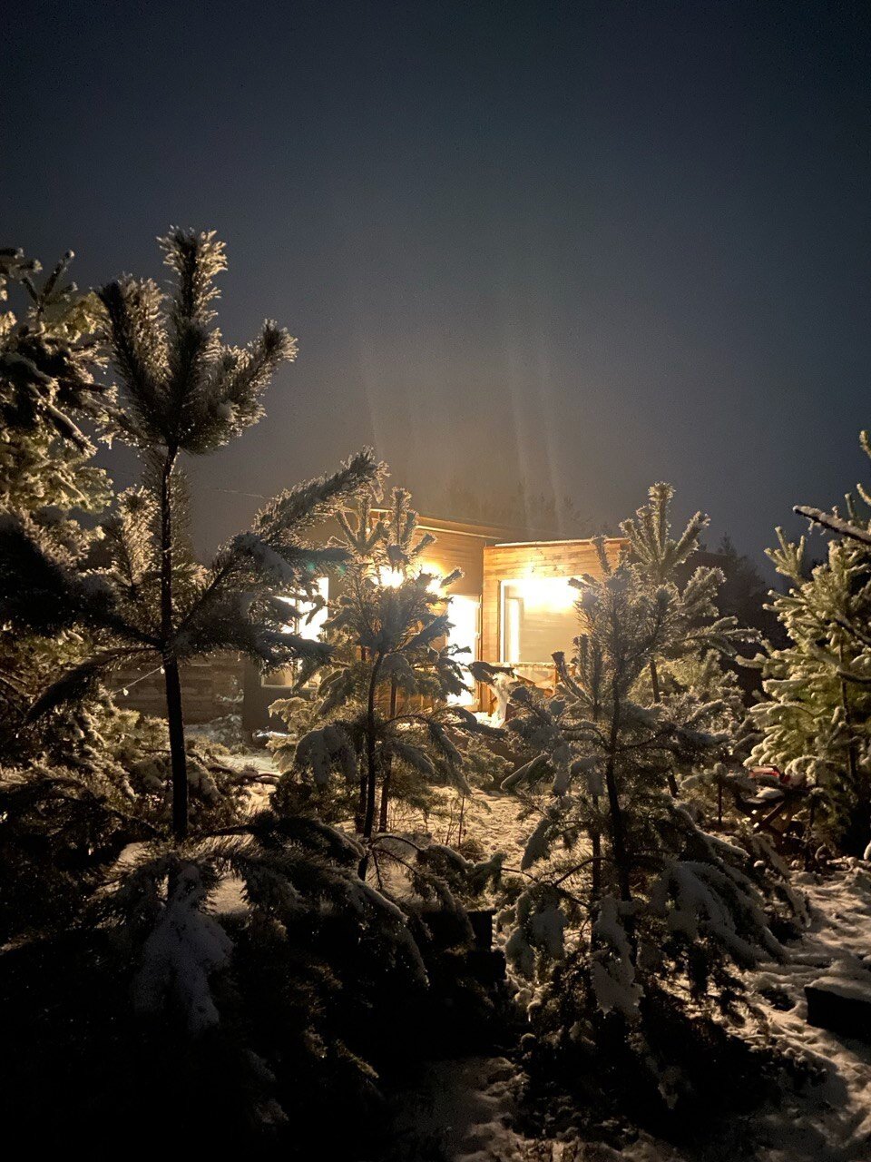 Фото Тишина