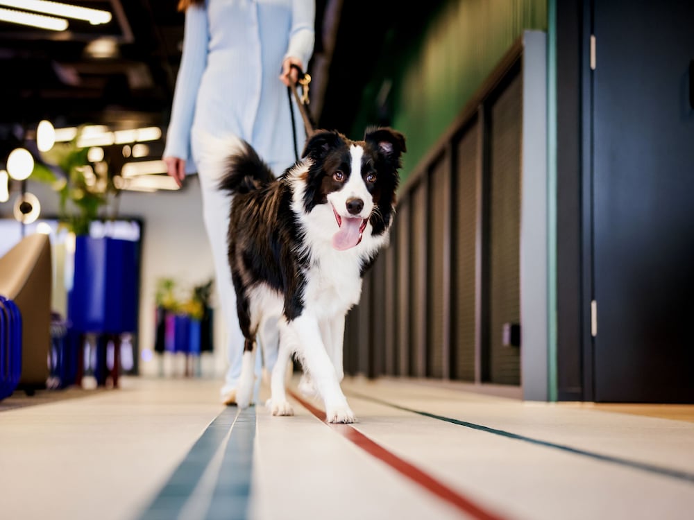 Фото Lyf Collingwood Melbourne