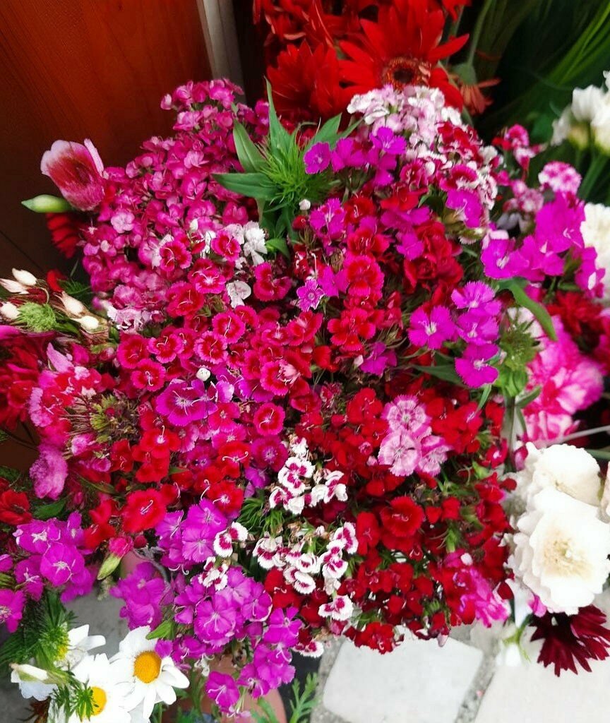 Flower shop Dundar AV Bayi, Bogazliyan, photo