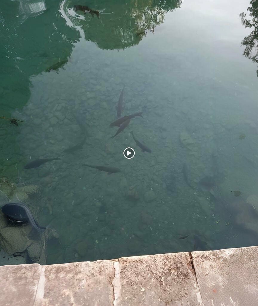 Primary school Ovalibag Hasan Suleyman Filibeli Middle School, Ciftlik, photo