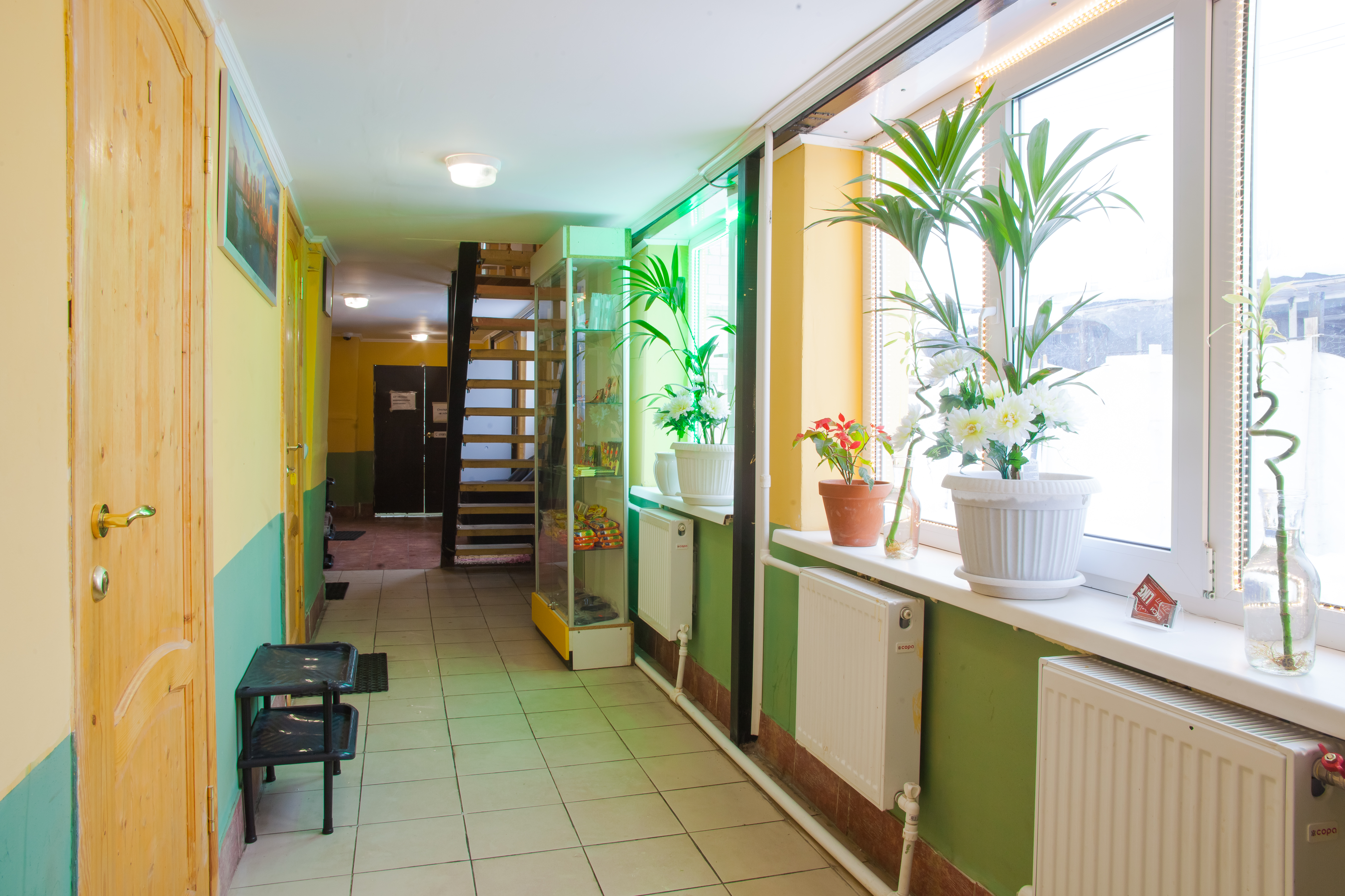 Фото Ситара