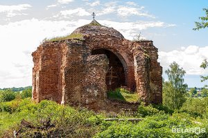 Церковь Святых Петра и Павла (Могилёвская область, Белыничский район, Вишовский сельсовет, агрогородок Вишов), православный храм в Могилёвской области