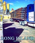 9 Brothers Building Supply (United States, Brentwood, 1670 Islip Ave), building materials wholesale