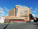 D.I. Mendeleev University of Chemical Technology, Institute of Materials of Modern Energy and Nanotechnology (Geroyev Panfilovtsev Street, 20), university