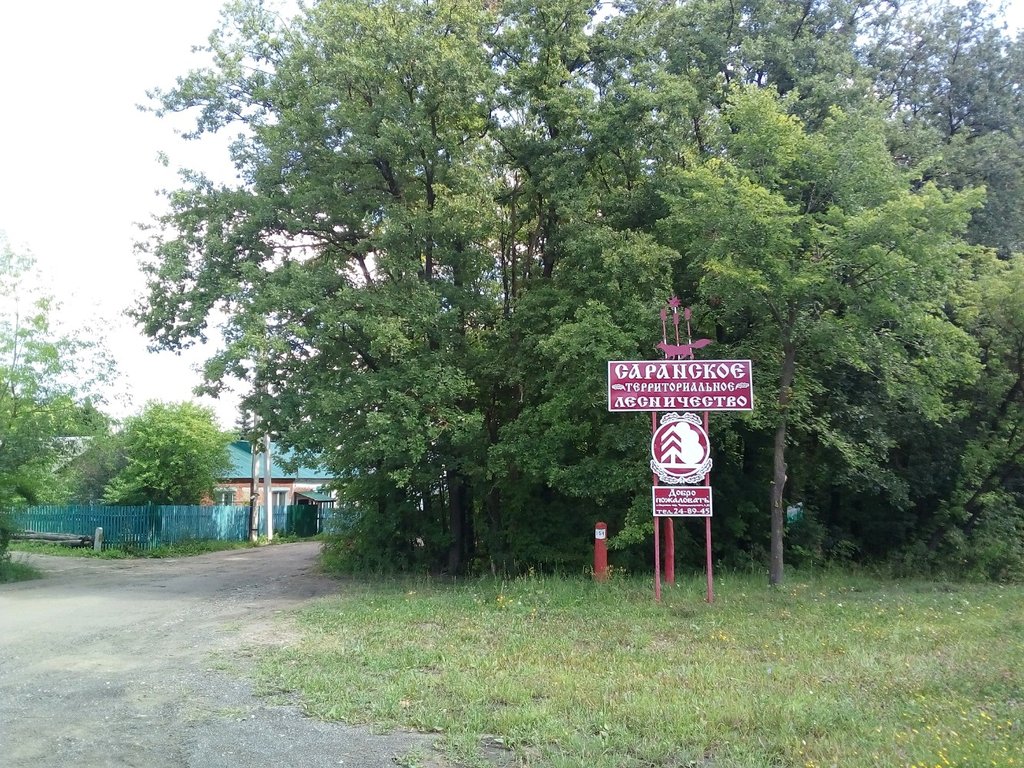 Органы государственного надзора Республиканский центр Охраны Лесов и Животного Мира, Саранск, фото