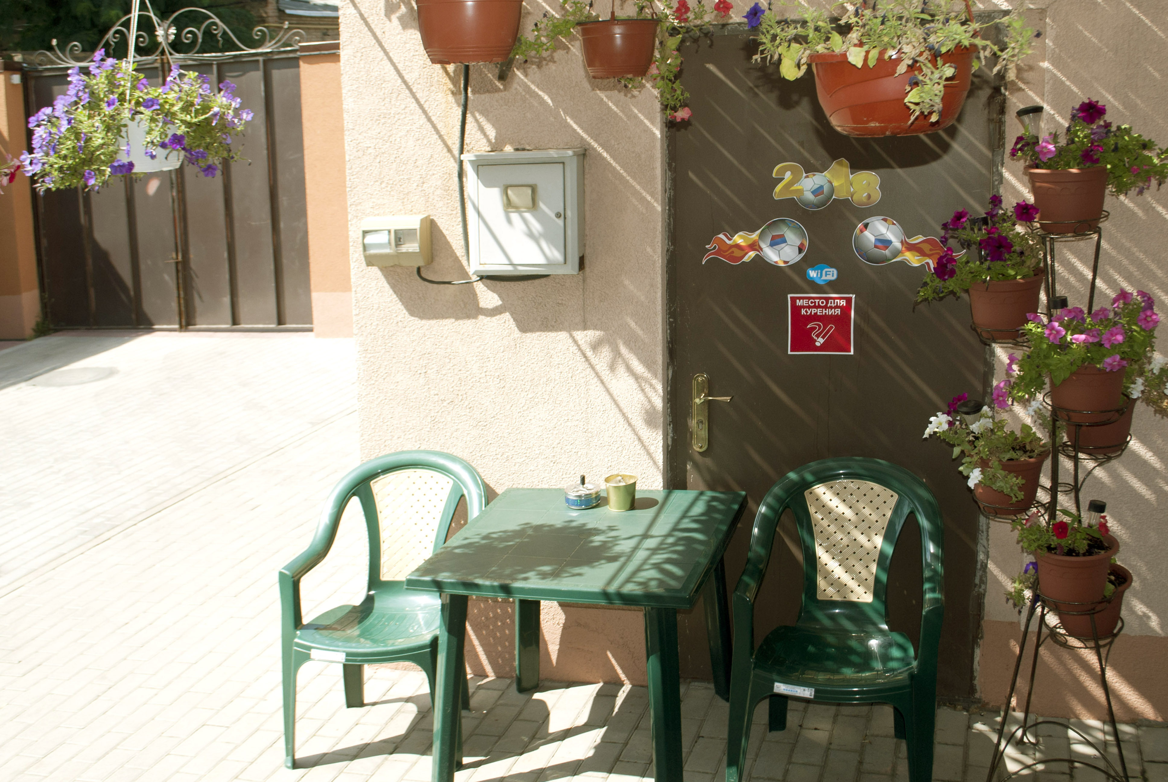 Фото Абрикос