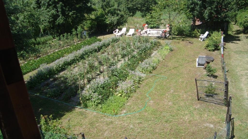 Фото Agriturismo Il Casalone