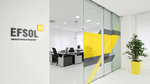 Efsol (Kedrova Street, 14к2), it company