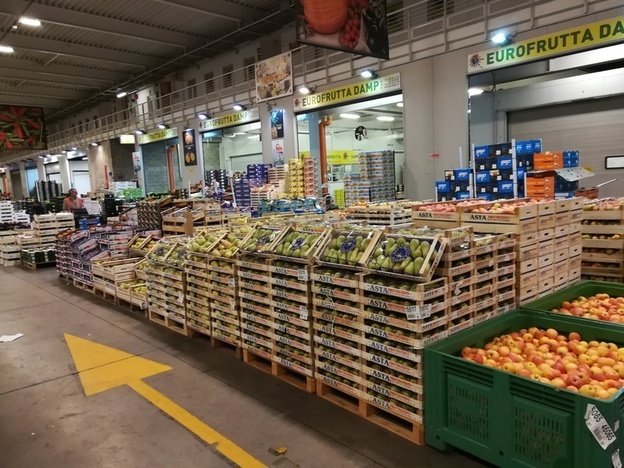 Boats, motor boats, yachts Eurofrutta Damp, Liguria, photo