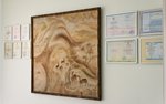 Dr. Bobyr's Clinic (Malomoskovskaya Street, 21к1) ، مركز طبي، عيادة