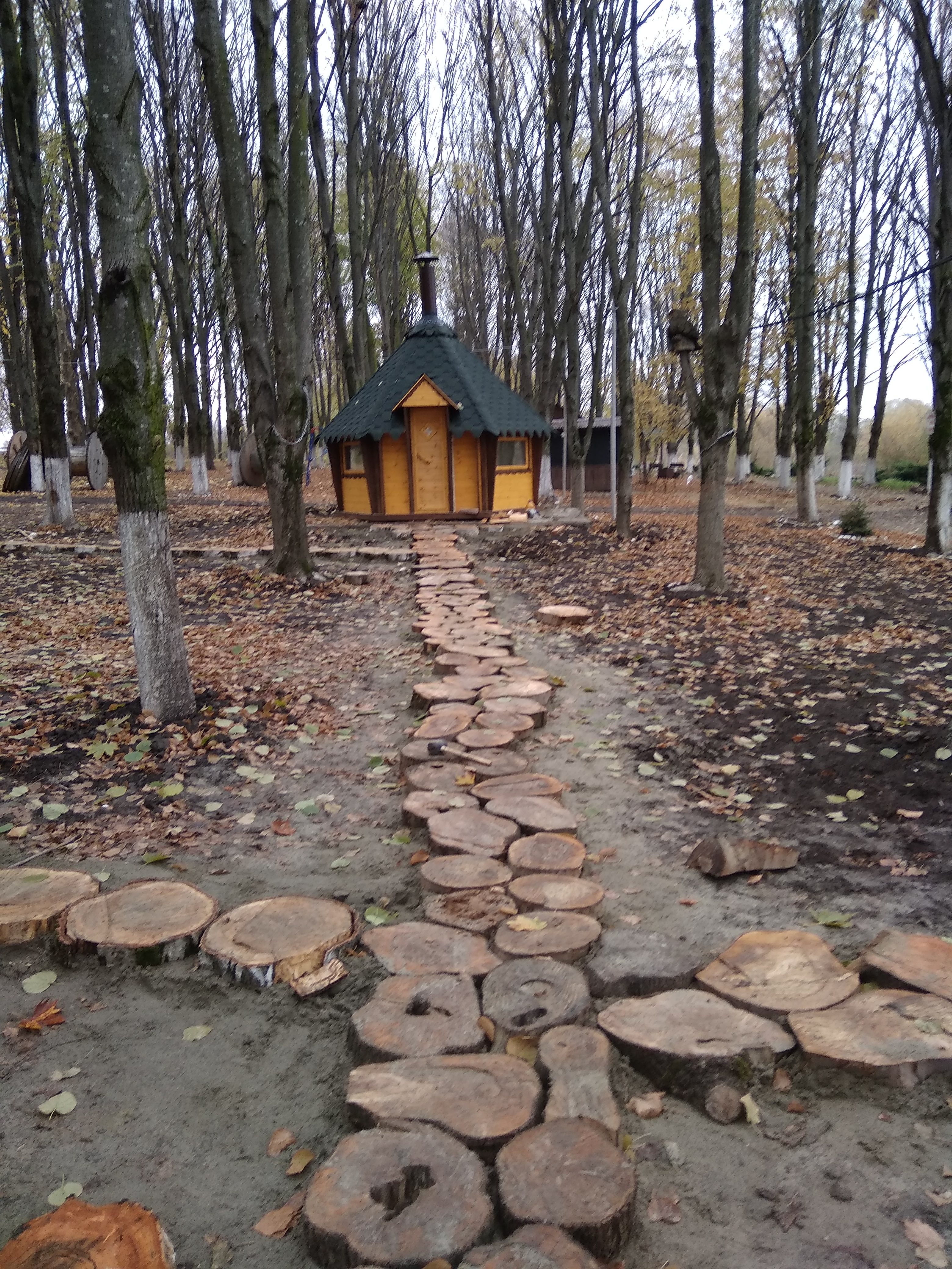 Фото Водоем Центральный