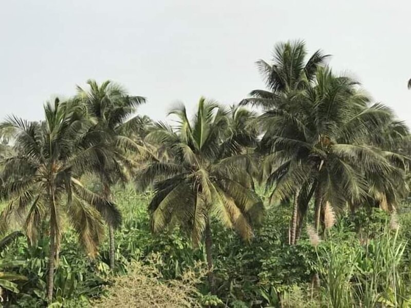 Гостиница Villa Santa Cruz Santiago