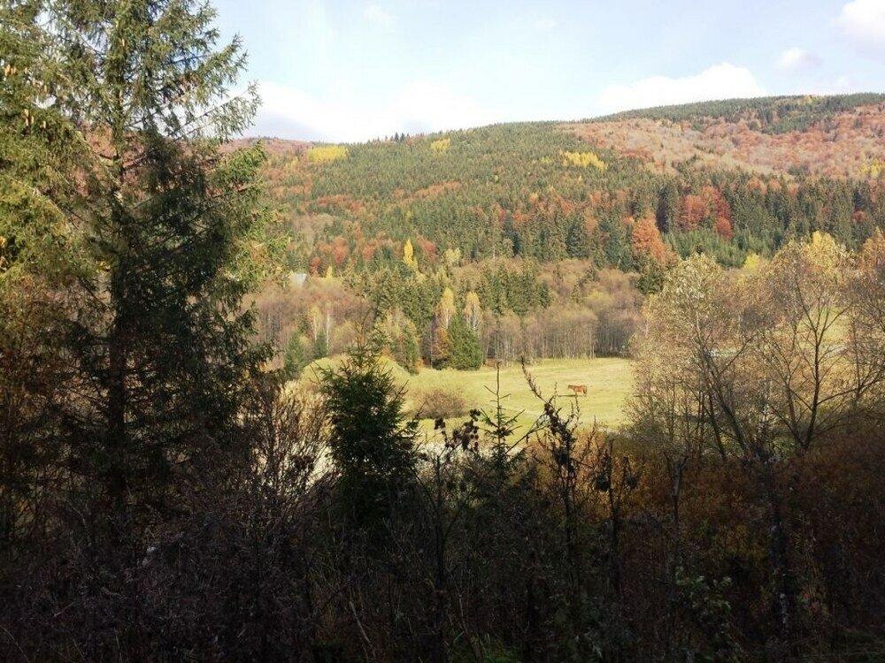 Фото Ski-Lake Cottage Nízke Tatry
