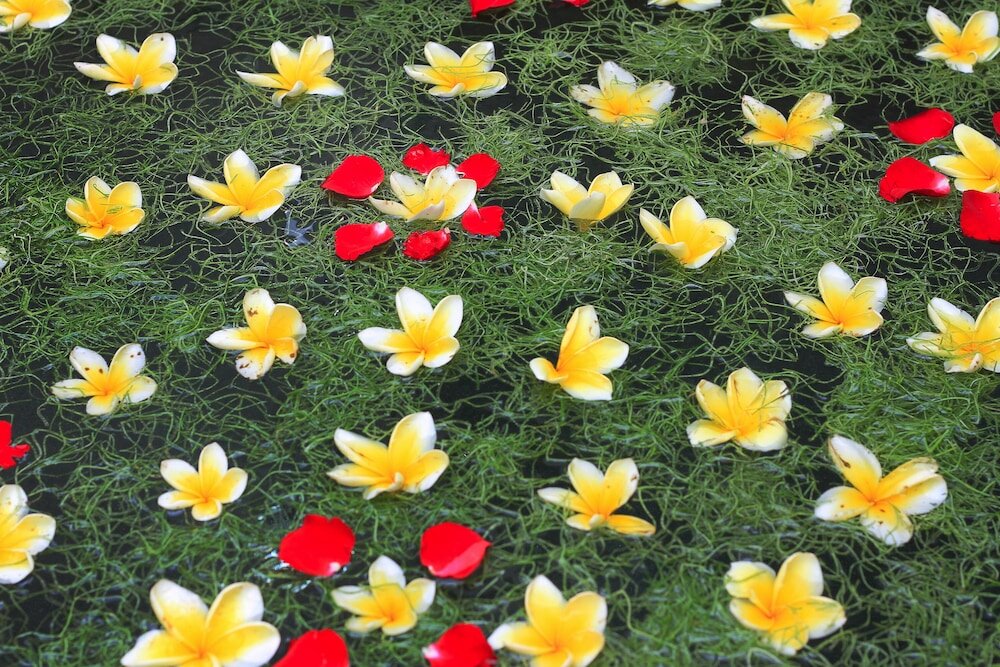 Фото Graha Sandat Villas