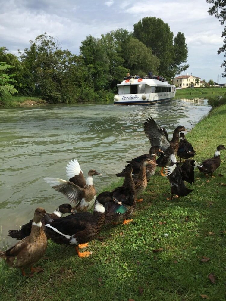 Фото Dimora Naviglio B&b