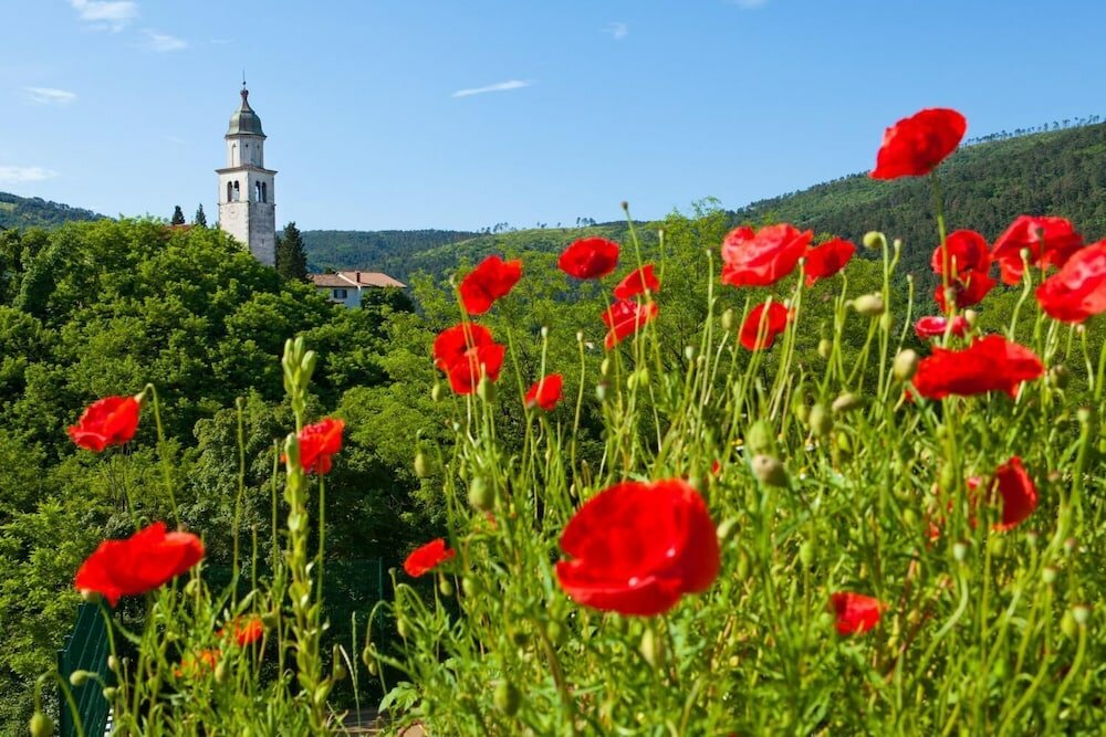 Фото Guesthouse Ošterija
