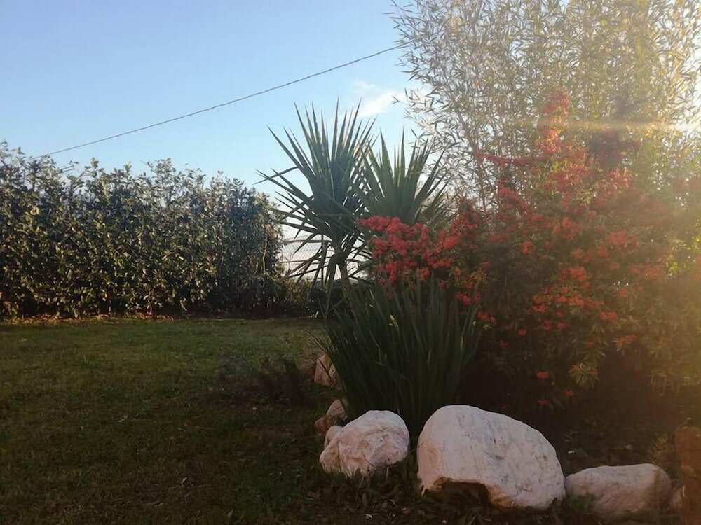 Фото La Zavorrina