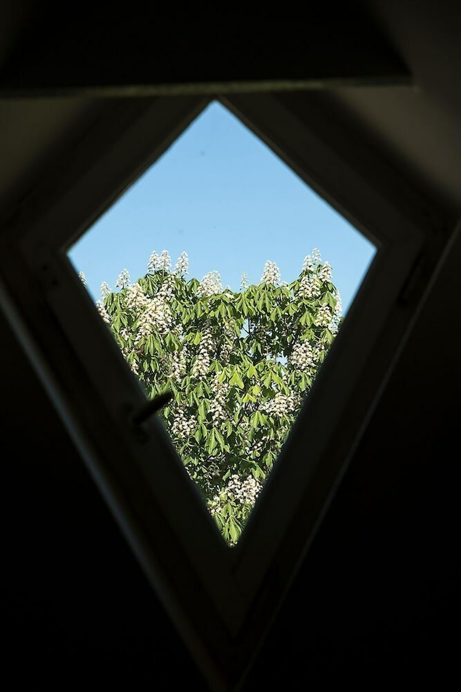 Фото Hotel und Restaurant Mühlenhof