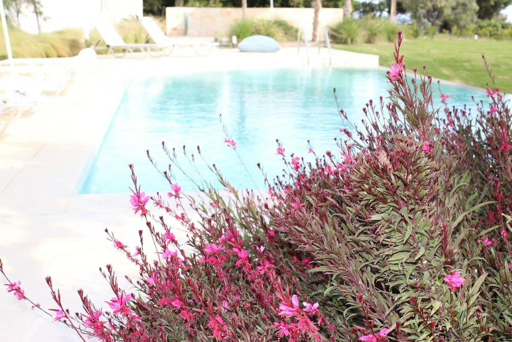 Фото Akti Elia Villas