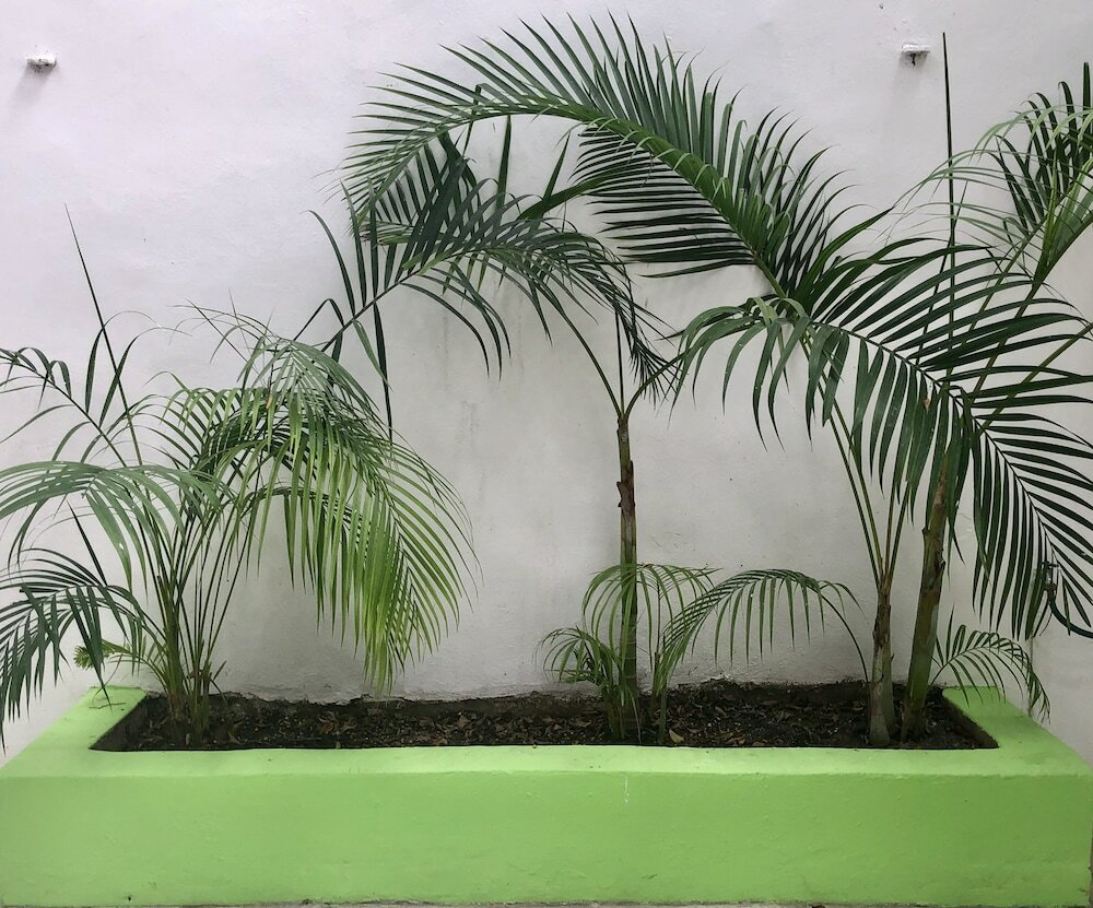 Фото Hotel Mundo Maya