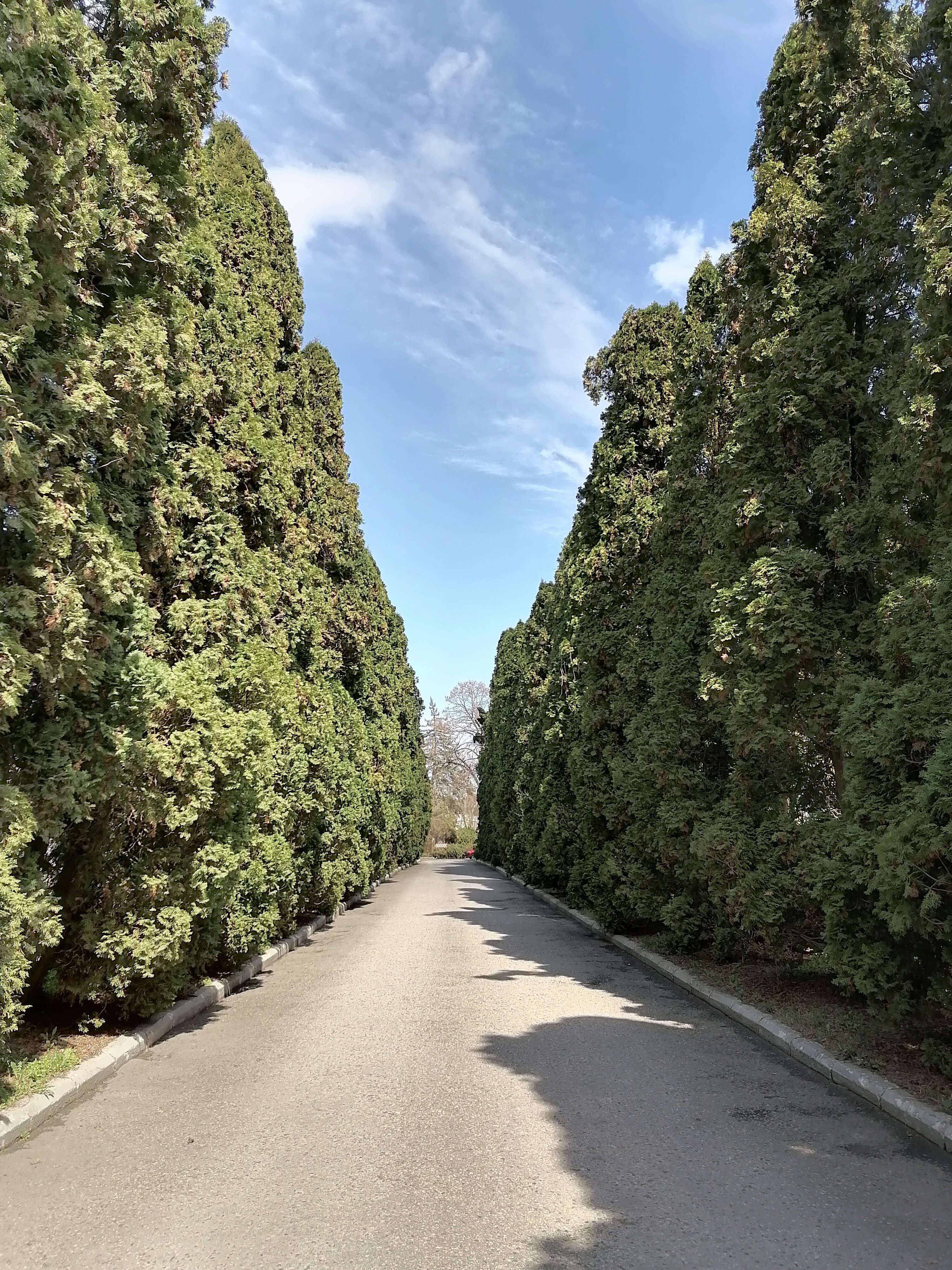 Фото Гранд Кавказ