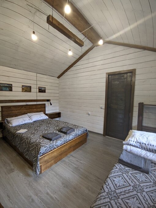 Фото Большие Коты