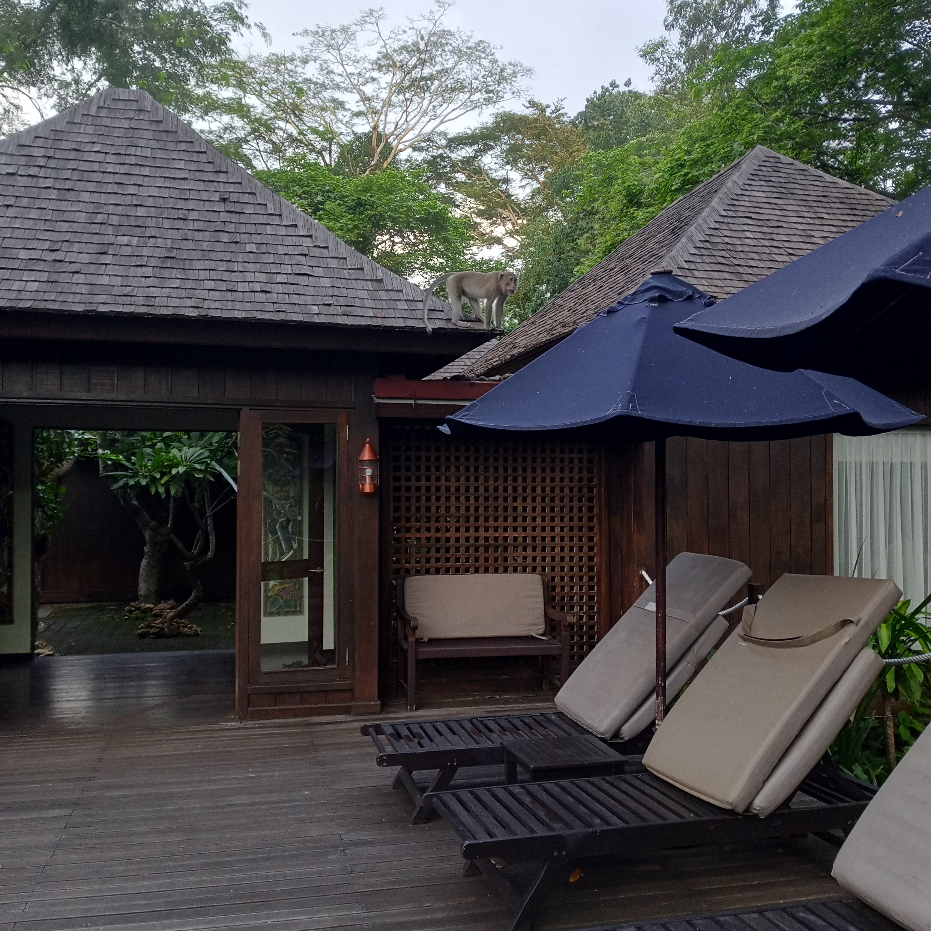 Фото The Menjangan Lifestyle Retreats