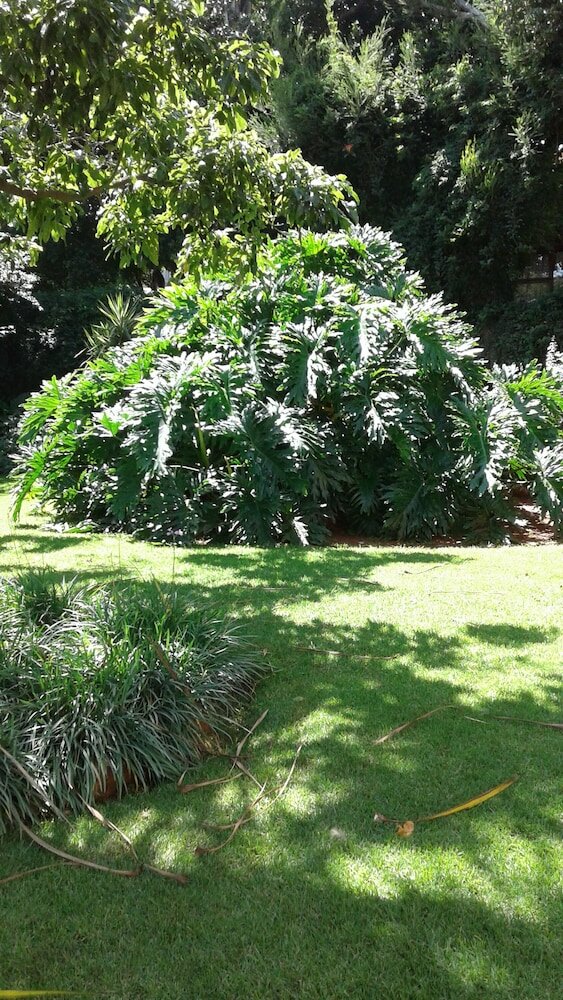 Фото The Bedford View Guest House