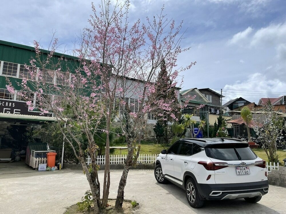 Фото Flowersandrocks Villa