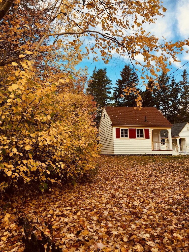 Фото Green Gables Bungalow Court