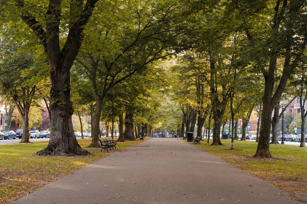 Фото Sonder No. 284 Back Bay