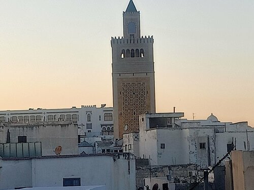 Гостиница Dar Kenza в Тунисе