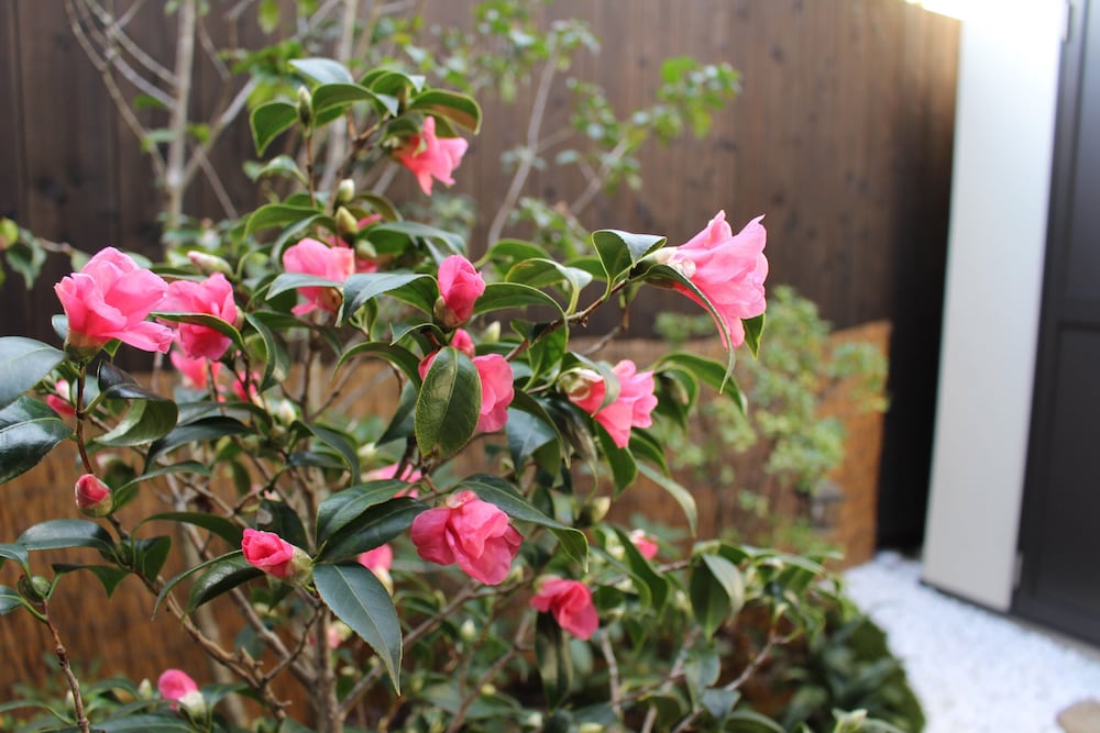 Фото Nishijin No Sato