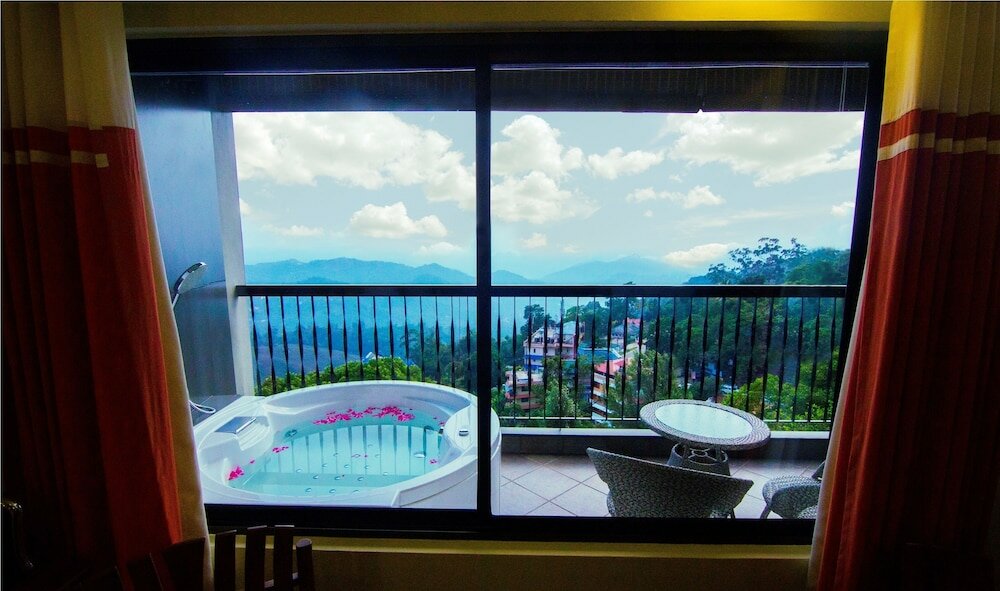 Фото Forest Glade