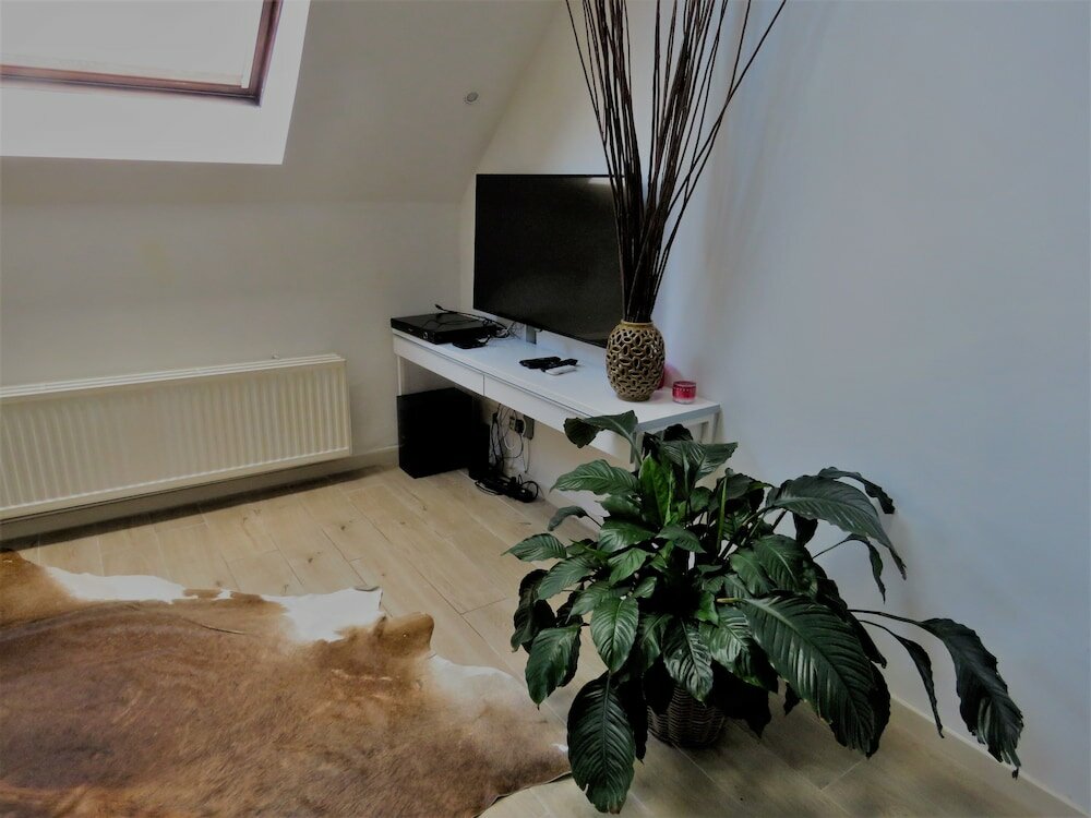 Фото Villa Einstein Apartments