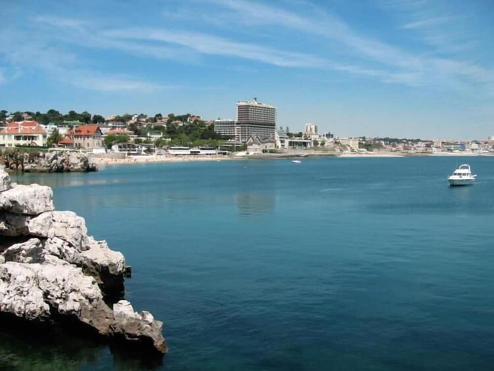 Фото Palm Guesthouse