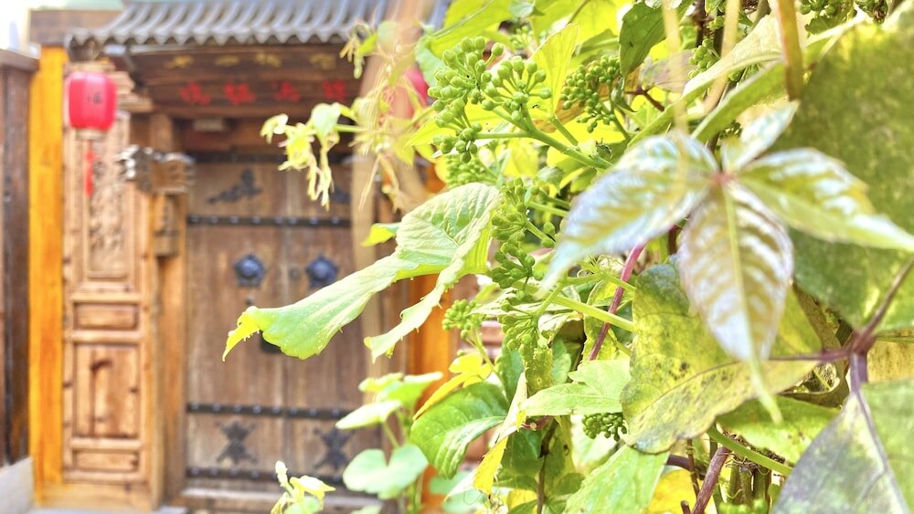 Фото China Old Story Inn Lijiang Elite Garden