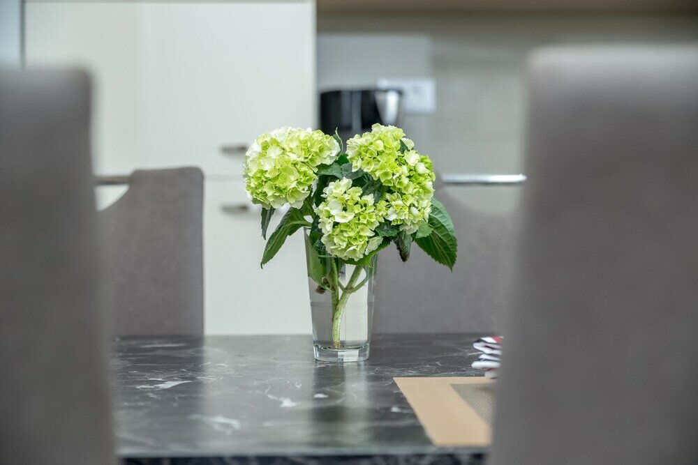 Фото Luxury Apartments Kostrena