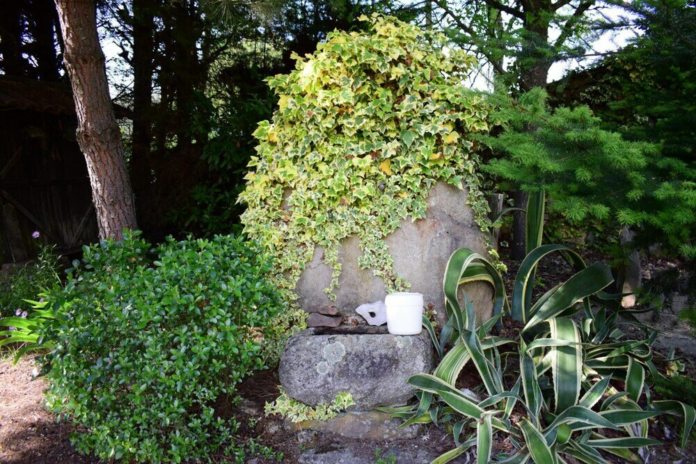 Фото Quinta Sul America