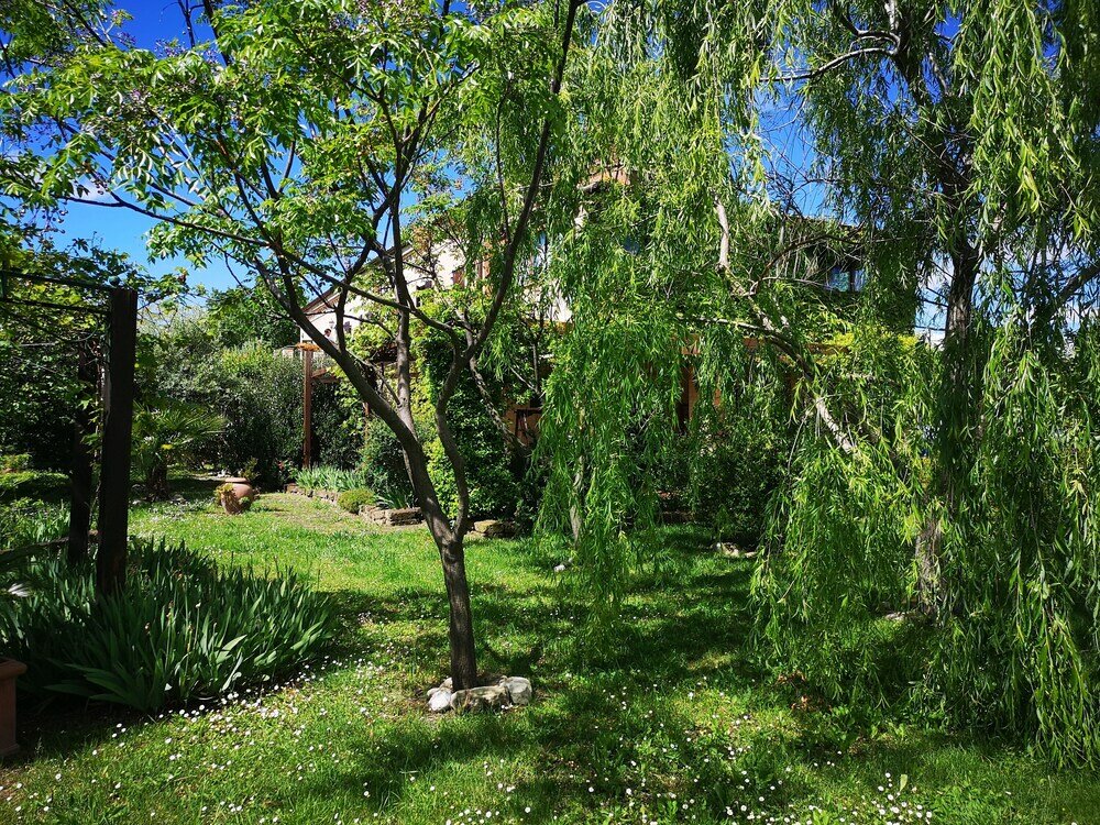 Фото La Casa sul Colle