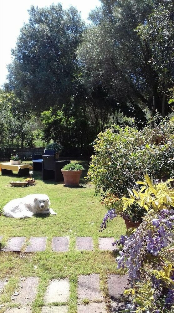 Фото B&b Su Narboni Mannu E4247