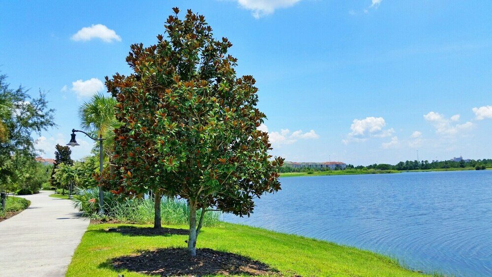 Фото Lakeview Condo, Directly Next To Pool! Near Wdw