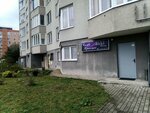 Elli beauty (Olega Koshevogo Street, 11), beauty salon