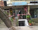 Flower Shop Aylin (Akademik Hasan Aliyev Street, 418A) ، محل زهور