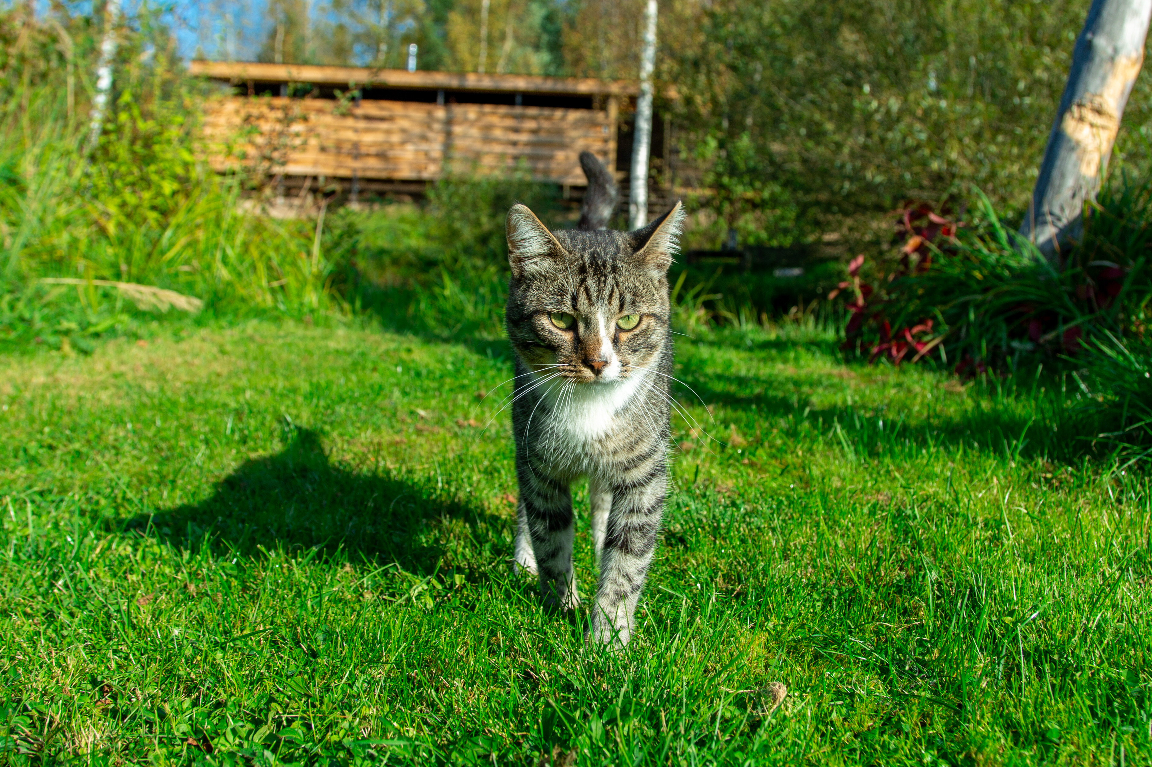 Фото Агроусадьба Павлова