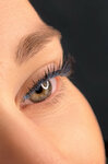 Novi. Lash (Pashi Savelyevoy Street, 54), eyebrow and eyelash salon