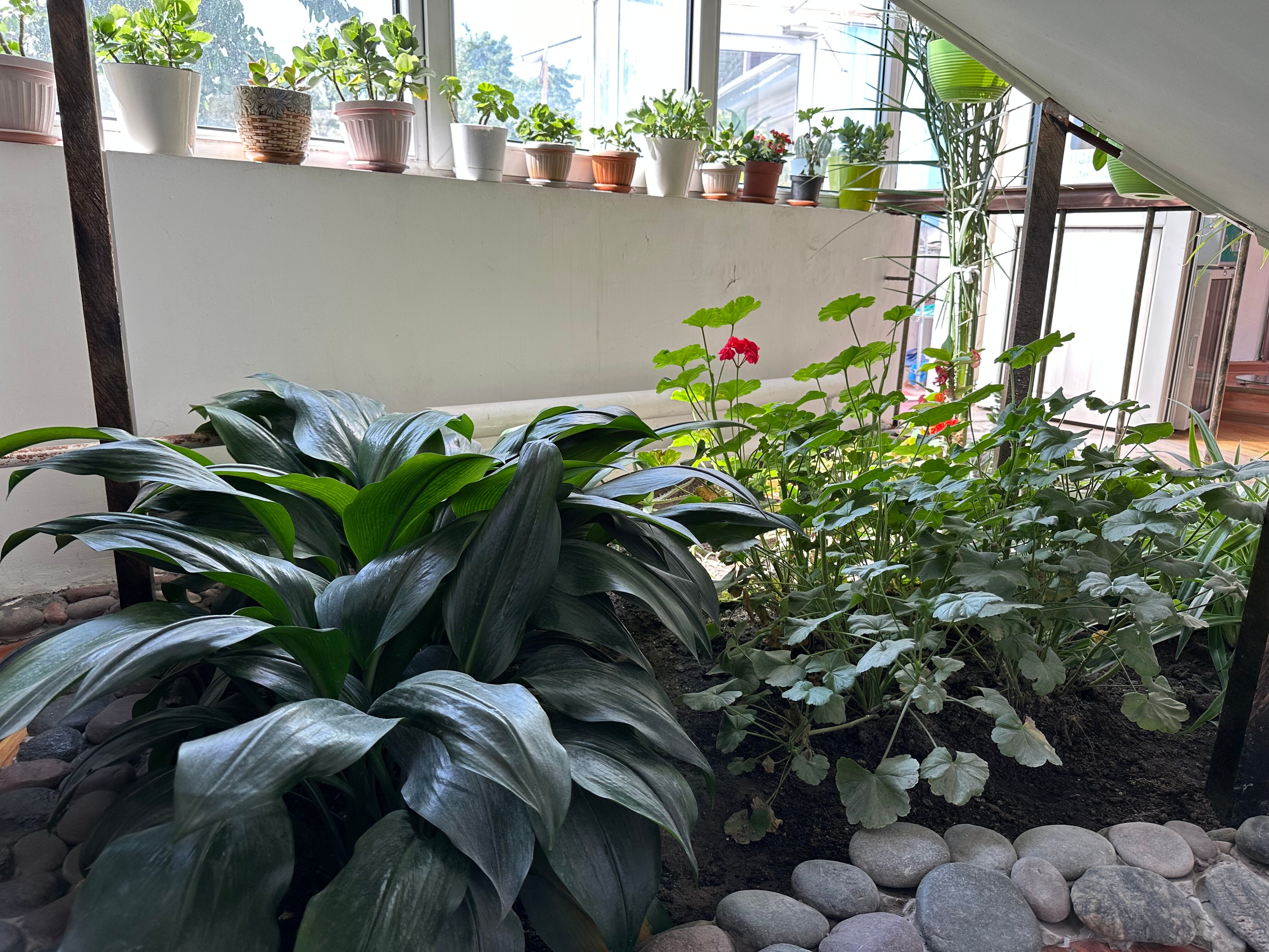 Фото Тундук