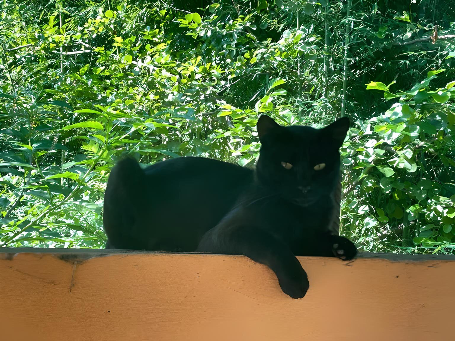 Фото Оазис на Молодежной